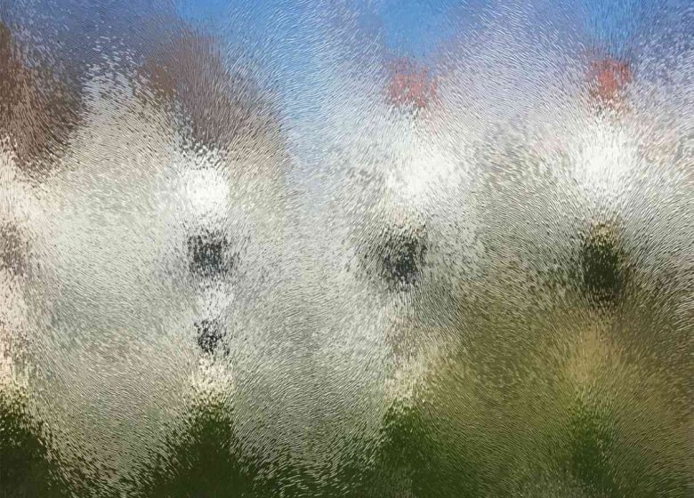 Adrien Lefebvre, Grume, Jonquilles et Résidus (détail), 2025