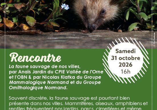 Affiche-rencontre-Faune-sauvage-octobre-2026