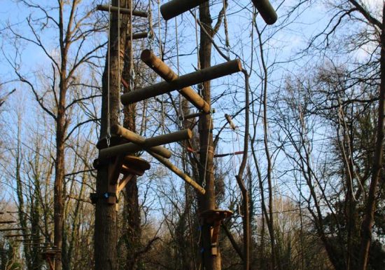 Ascencion-dans-les-arbres