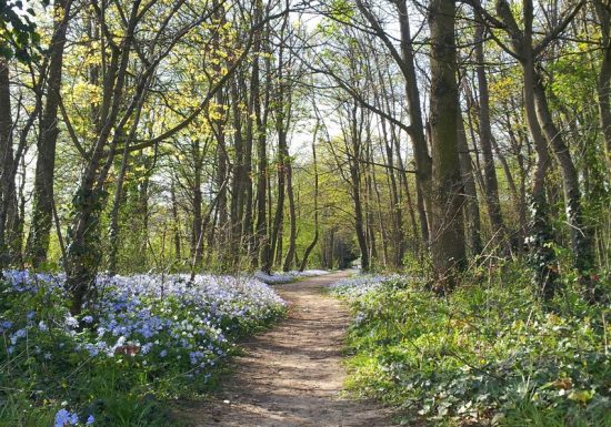 Bois Lebisey – Hérouville St Clair