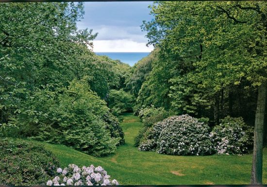 Bois-de-Morville–Pascal-Cribier