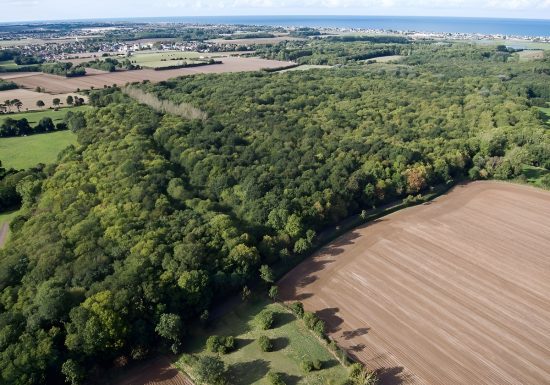 Bois du Caprice Calvados (2)