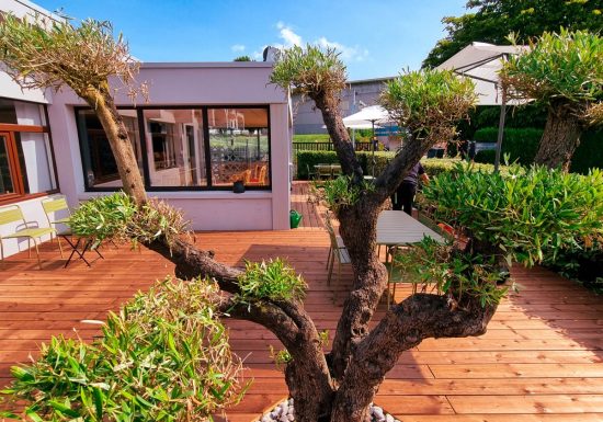 hotel-ibis-caen-porte-d-angleterre-cactus