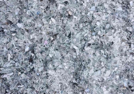 Céleste Boursier-Mougenot, plage (détail), 2019.