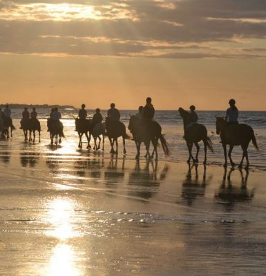 David Aïssa Equestrian Centre Of Ouistreham
