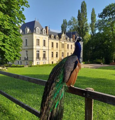 Le Domaine De Ouezy – Educational Farm