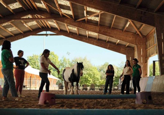 Cohésion d’équipe, séminaire d’entreprises en équicoaching