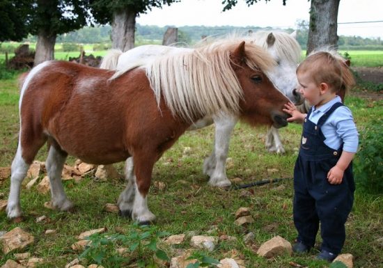 Ferme pedagogique du Chateau de Canon pres de Lisieux (1)