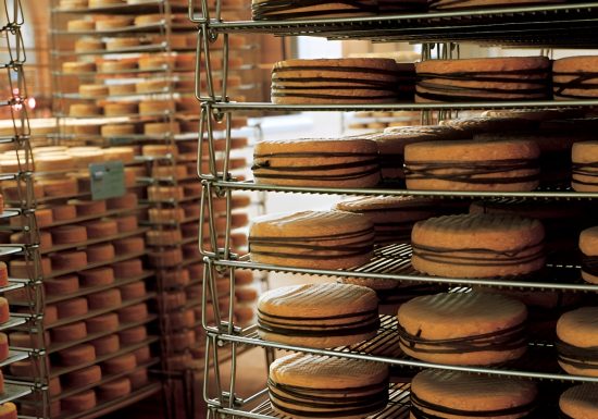 Affinage des livarots à la Fromagerie de Livarot