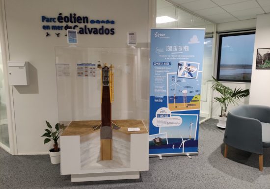 IMG_20241030_175806 Caen la mer Tourisme – Alix Jonet