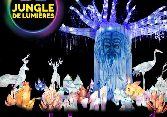 JDL2025-Arbre-1200x1200px