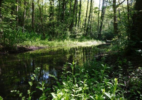 JFJ_Vallée Dan_201505_604b BD-copyrigt Dept 14