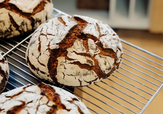 JOR00671-fotor-20241105112340 – Copie