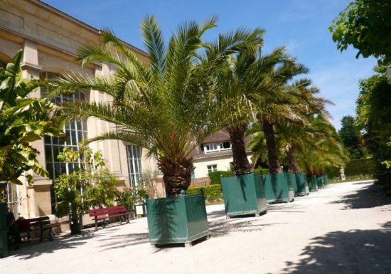 Jardin Plantes – Rémy – 800×600