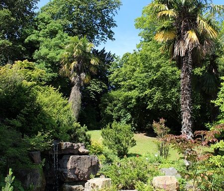 Jardin_des_plantes-Loic_Durand___Calvados_Attractivite-2863
