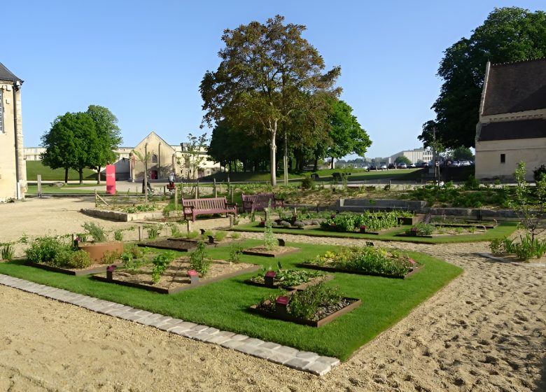 Jardin des simples au château de Caen