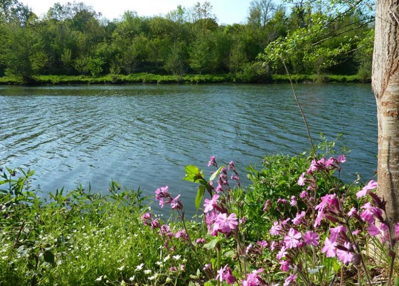 Vue sur l'Orne©Calvados Tourisme