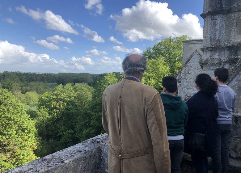 Vue depuis toits du château