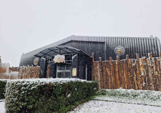 Le Valhalla bar viking de lancer de haches Caen