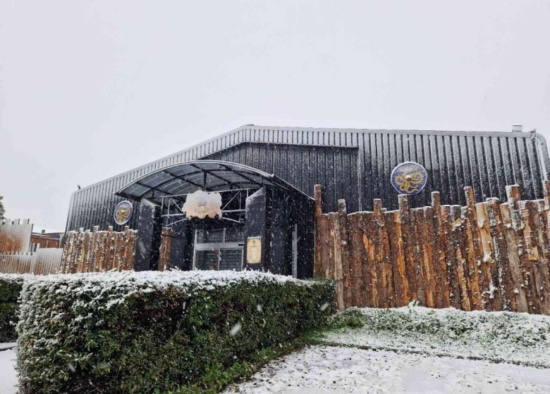 Le Valhalla bar viking de lancer de haches Caen