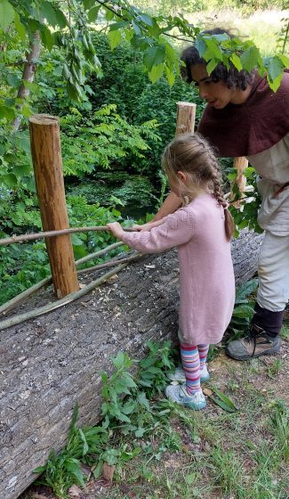 Le tressage du plessis