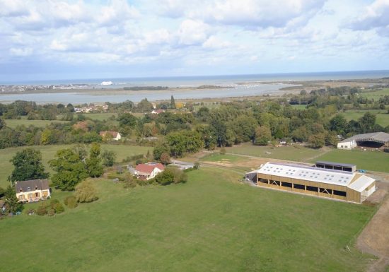 Les crins de la baie Merville-Franceville-Plage