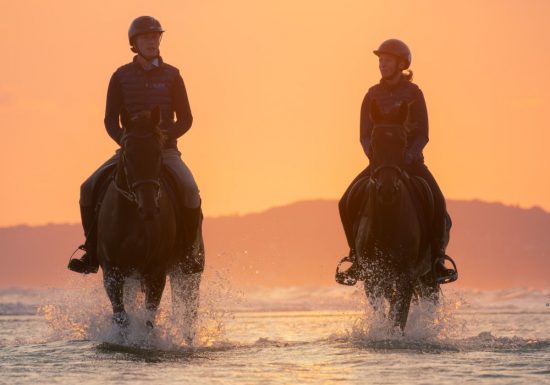 Les crins de la baie chevaux dans l’eau