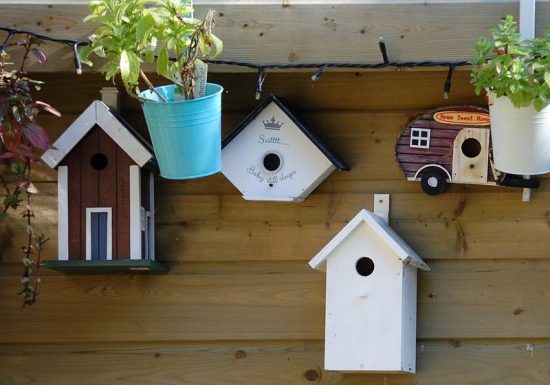 Maison d’oiseaux