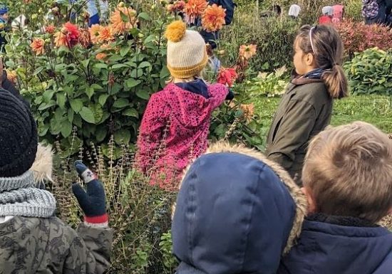 Médiations jeunesse Imec