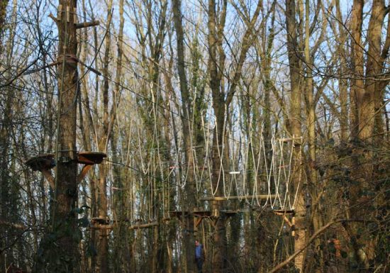 Parcours-dans-les-arbres