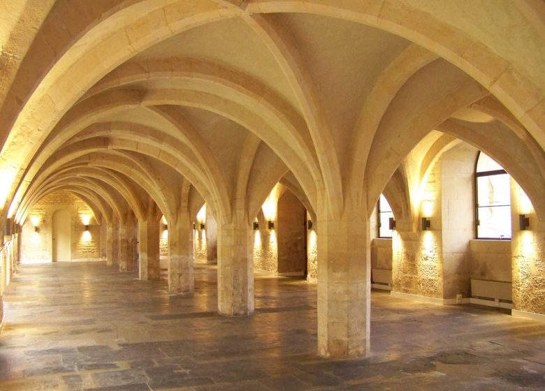 Piliers-du-duc-Rollon-8V3–Copier-