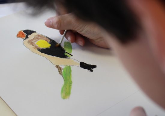 Portrait_d_oiseaux