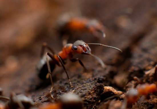 QUBS-mikhail-Vasilyev