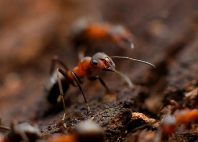 QUBS-mikhail-Vasilyev