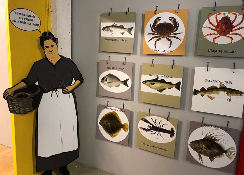 Quiz especes poissons credit M Caillere