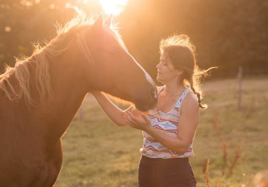 REGARDS PLURIELS EQUICOACHING