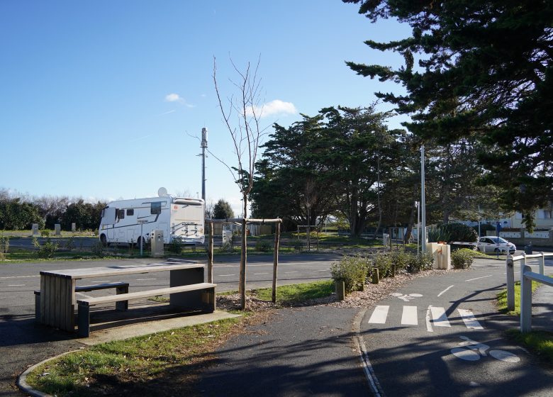 S._Marteil_2024_(6)[1]