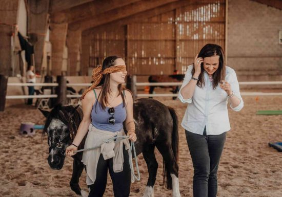 Teambuilding en équicoaching en Normandie