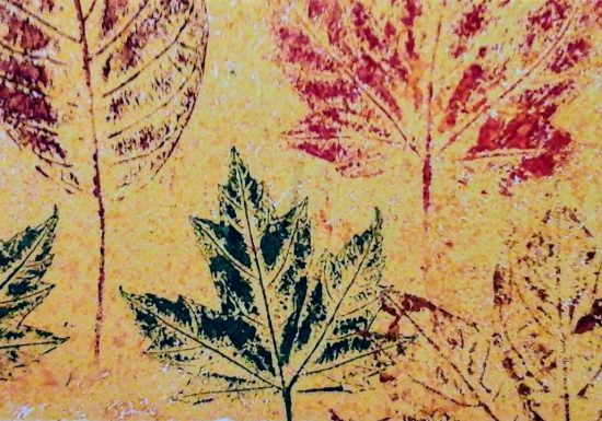 automne V.Foucher