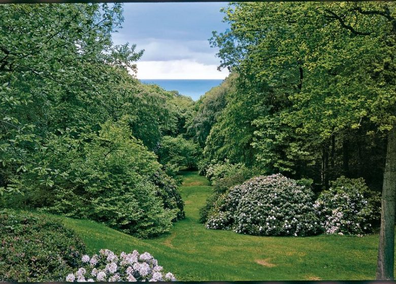 bois-de-morville-(Cpascal-cribier