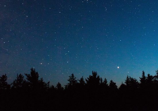 brad-mann-Nbv_sarjVes-unsplash