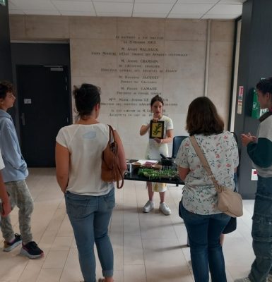 Atelier photographique « Tissus photosensibles : réalisation de cyanotypes » par Mariève Pelletier | Journées du Patrimoine