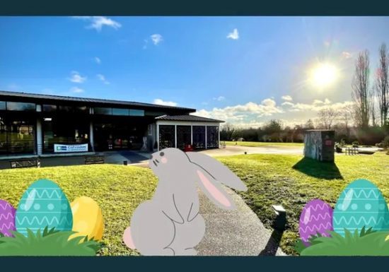 chasse aux oeufs au musée