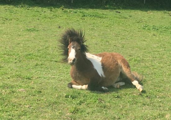 detente serenite joie