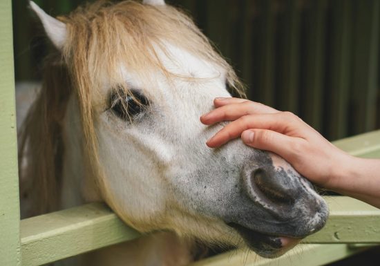 dmitry-mashkin-mDdo0Qwpyjs-unsplash