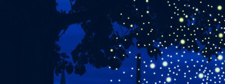 encart nuit essentielle 143x190_rvb