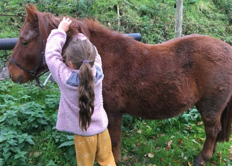 Enfant cheval poney equicoaching activité normandie sortie