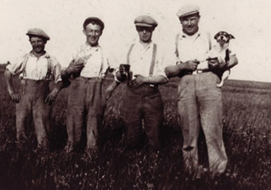 ferme-de-billy-notre-histoire-producteur-recoltant