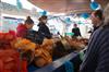 fete-coquille-1