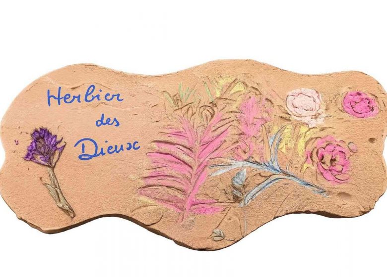 herbier des Dieux
